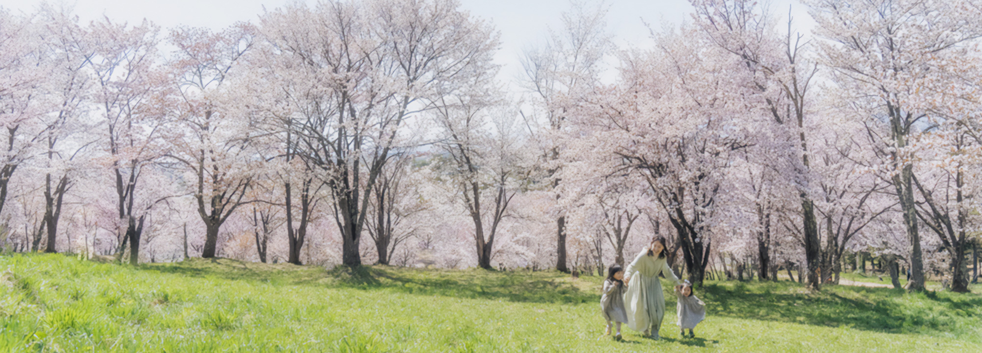 PEAK TAKE｜北海道旭川の映像制作・写真撮影